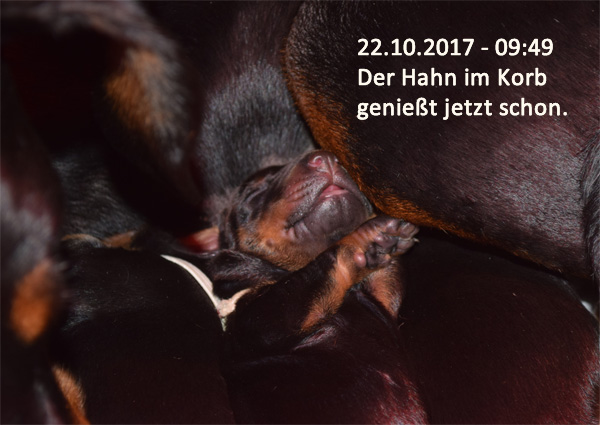 22-10-2017_09-49_ a4