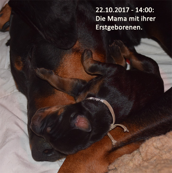 22-10-2017_14-00_a1