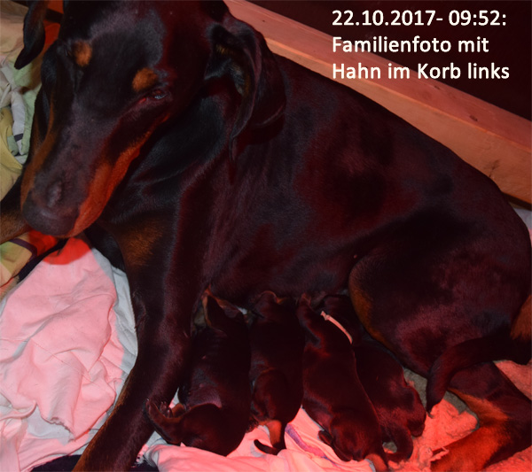 22-20-2017_09-52_a4links