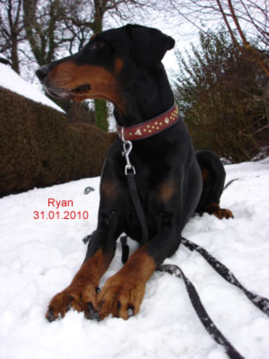 31.01.2010