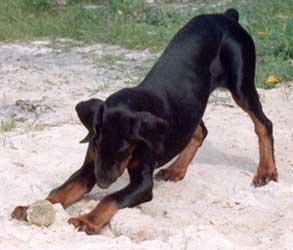 Chaos 19 05 91 3 Monate