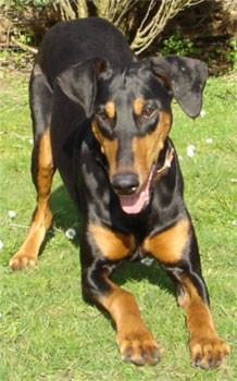 ialla 16.04.08 1